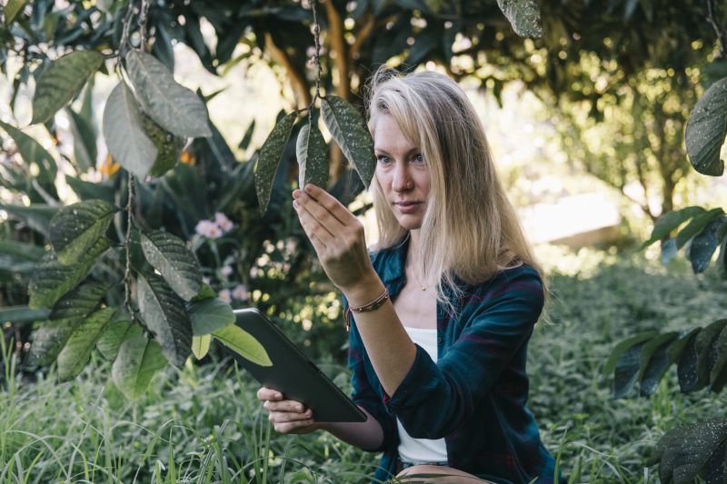 Inspection and Assessment