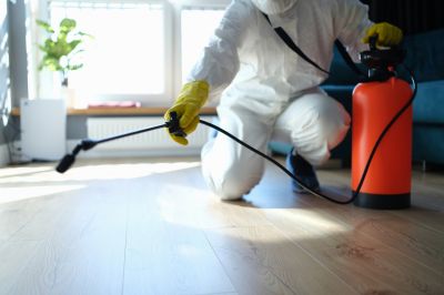 Hobo Spider Extermination in Frisco, TX